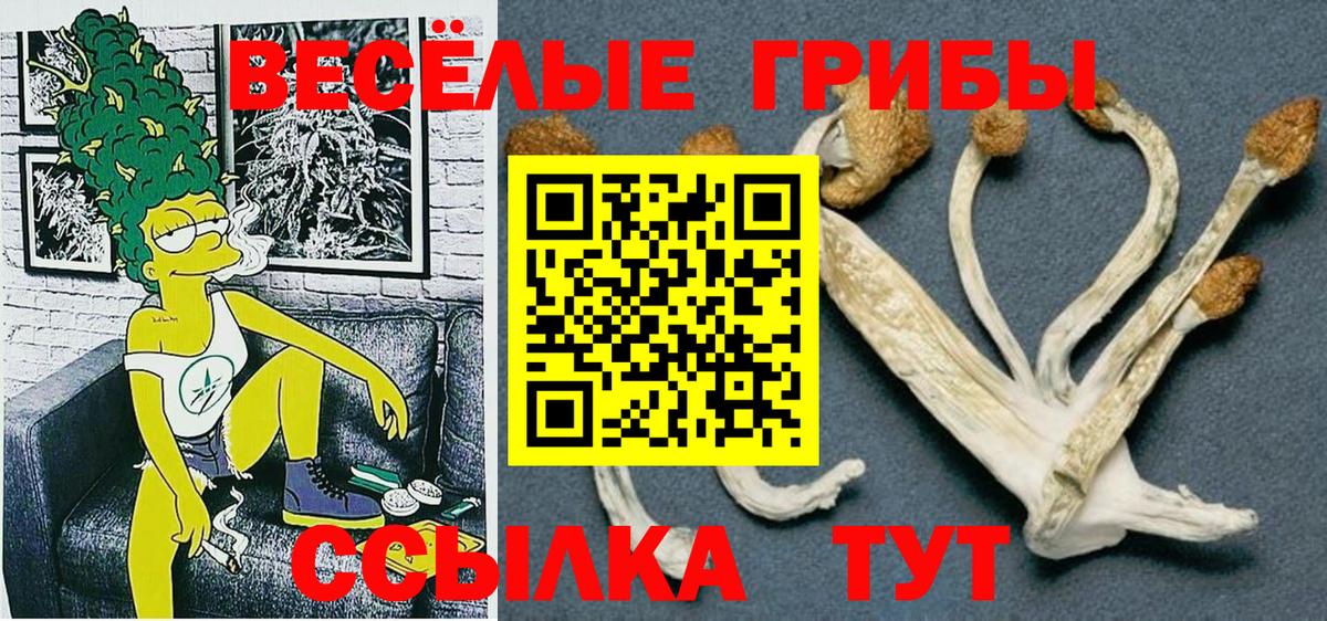 Псилоцибиновые грибы Magic Shrooms  Вход с VPN  Орск 