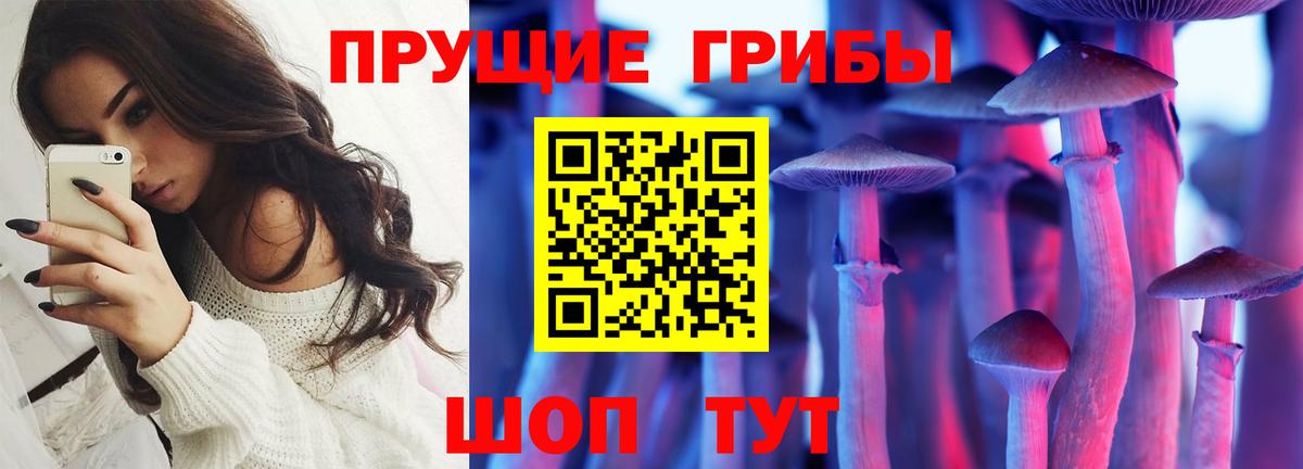 Галлюциногенные грибы Cubensis Орск